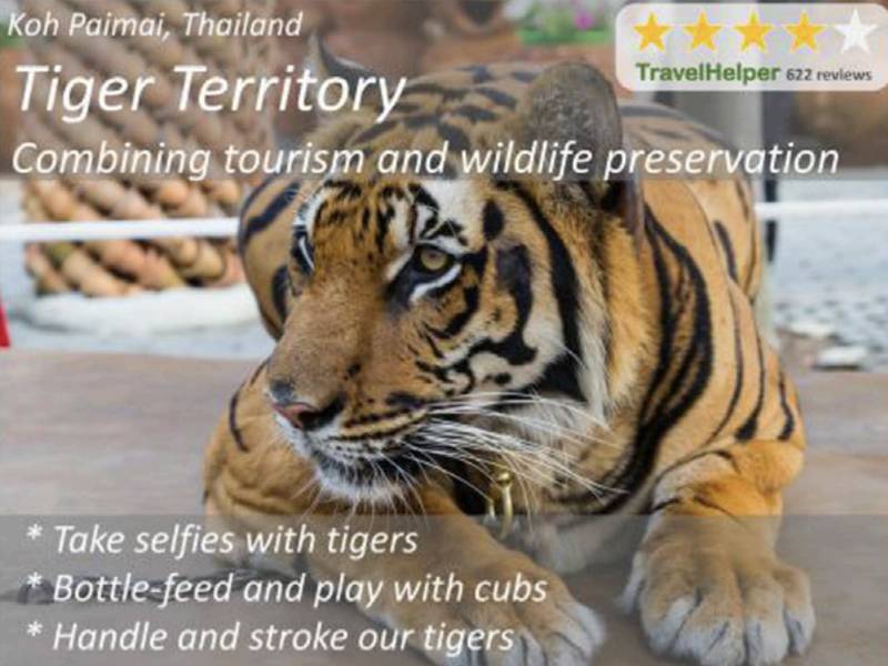 Toolkit - The Effect of Priming, Nationality and Greenwashing on Preferences for Wildlife Tourist Attractions