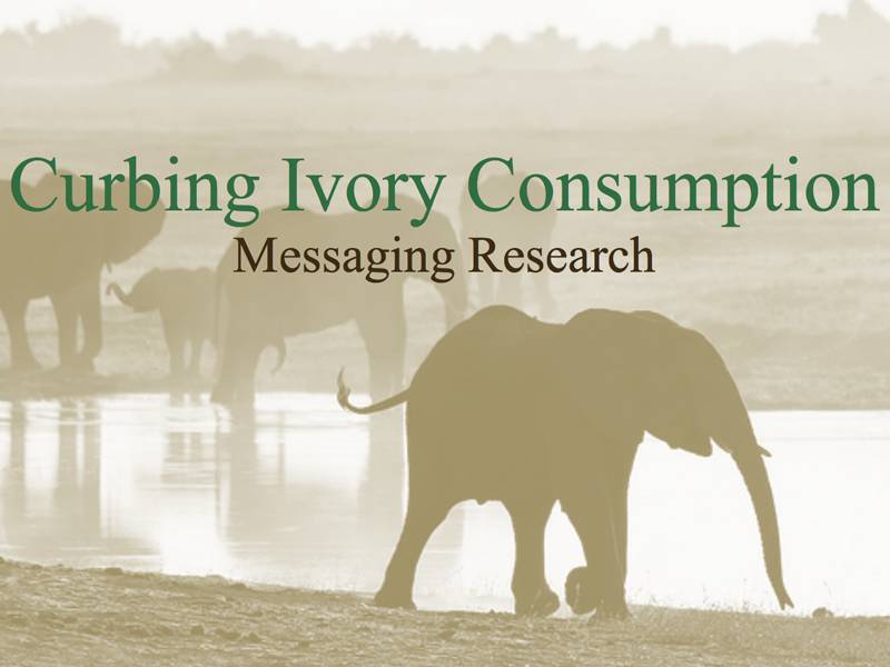 Research - TNC Ivory Messaging Research Findings to Curb Ivory Consumption in China