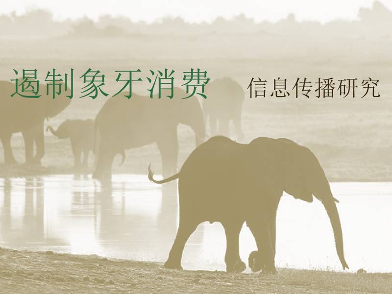Research - TNC Ivory Messaging Research Findings to Curb Ivory Consumption in China, Chinese Language