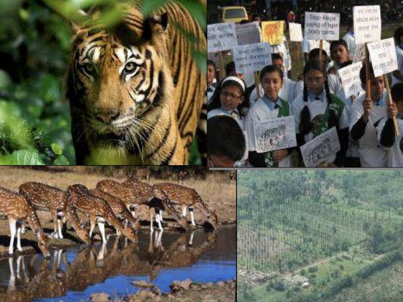 News -World Bank, Global Tiger Initiative: Competing demands: Understanding and addressing the socio-economic forces that work for and against tiger conservation