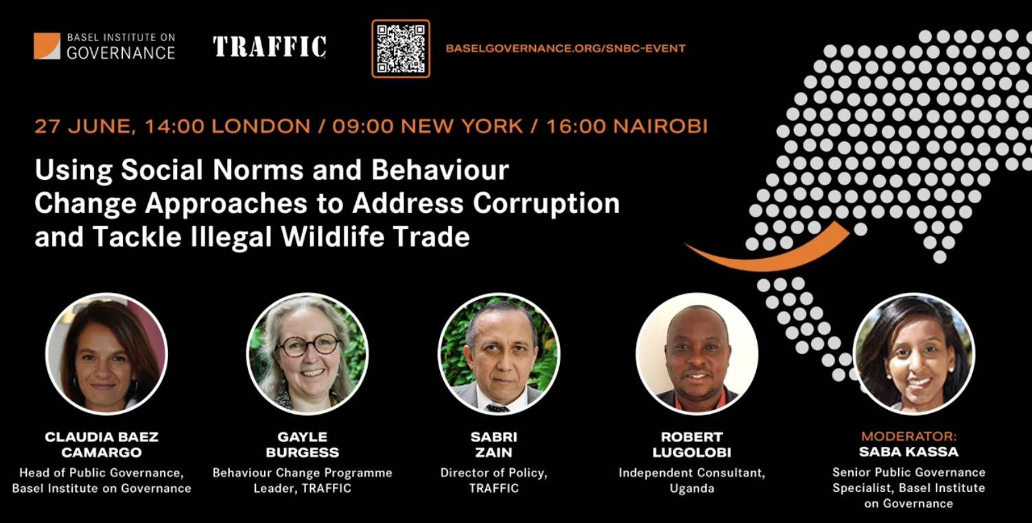 News -Social norm and behaviour change approaches to address corruption and tackle illegal wildlife trade