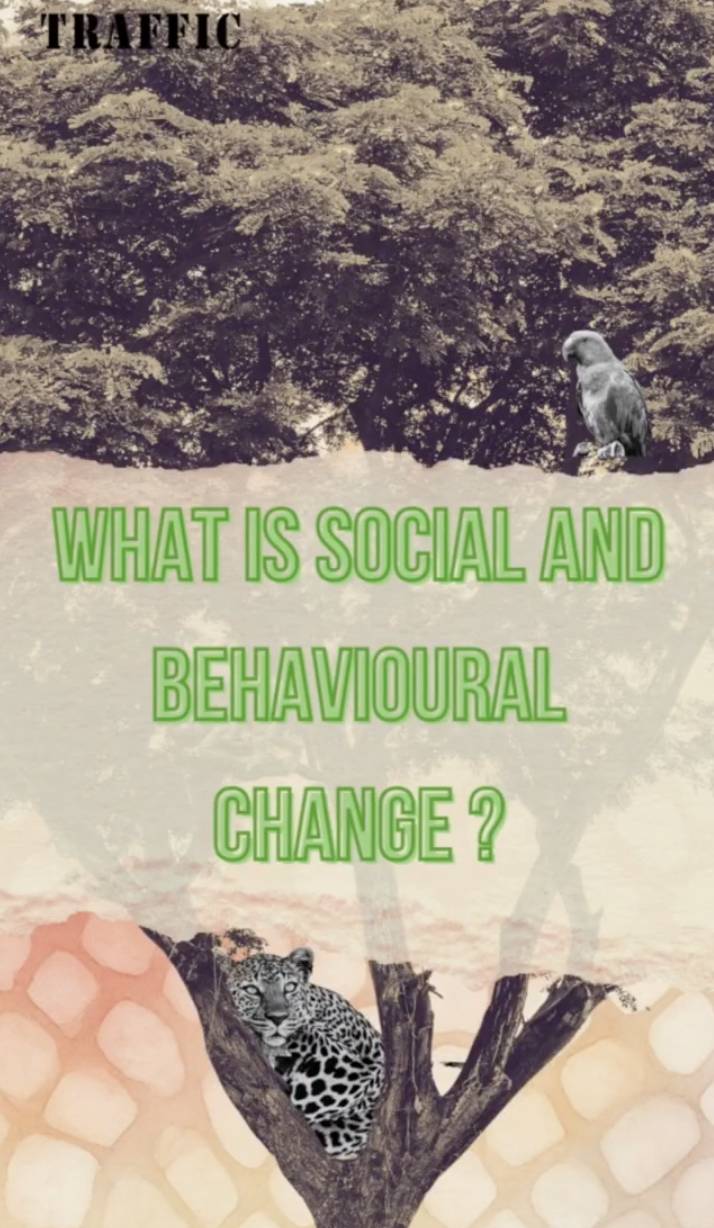 News -What is Social and Behavioural Change?