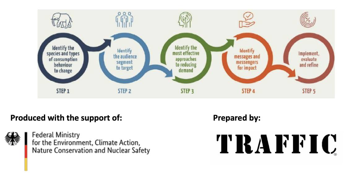 News -A Decade of Demand Reduction: An Overview and Considerations for the Way Forward
